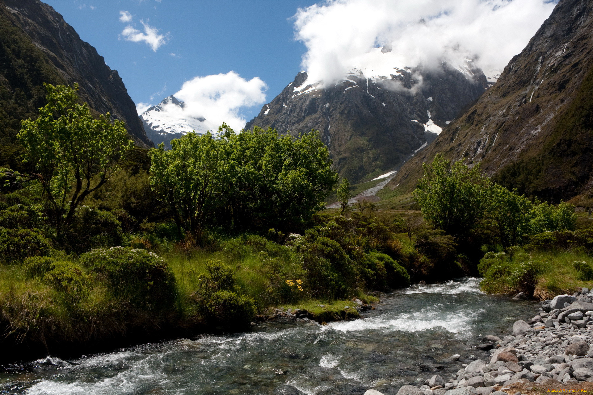 , , new, zealand